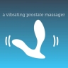 Вибратор We-Vibe Vector +